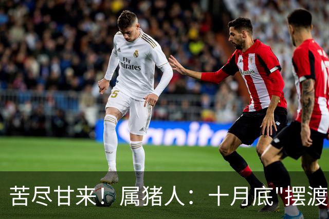 苦尽甘来！属猪人：十月底"摆渡人"悄然降临
